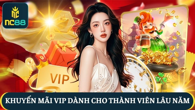 Khuyến mãi NC88 VIP